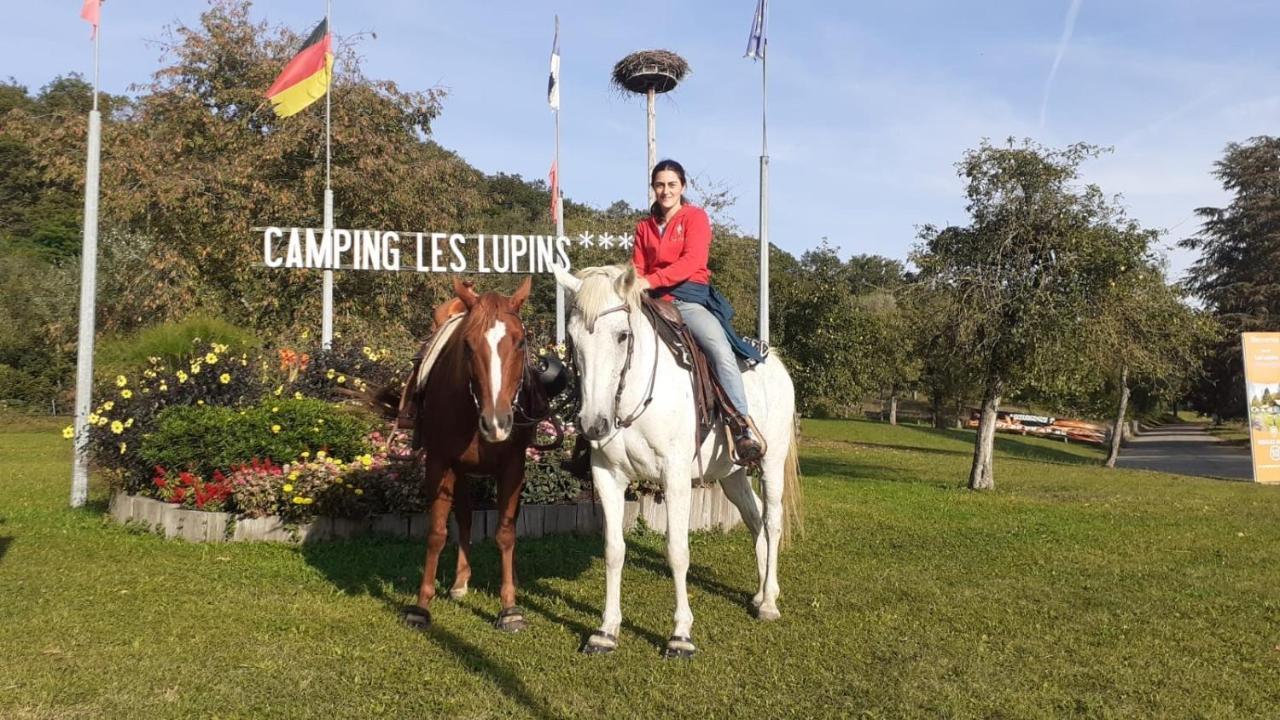 Camping Les Lupins Seppois-le-Bas Exteriör bild