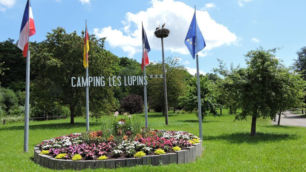 Camping Les Lupins Seppois-le-Bas Exteriör bild